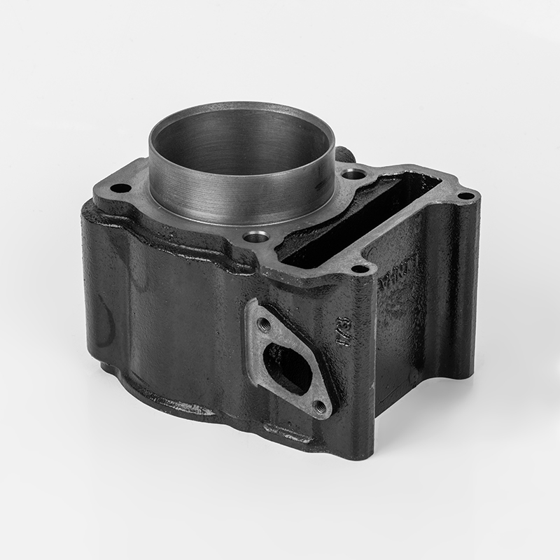 Vodou chlazený litinový motocykl řady 300 (Φ72,5)